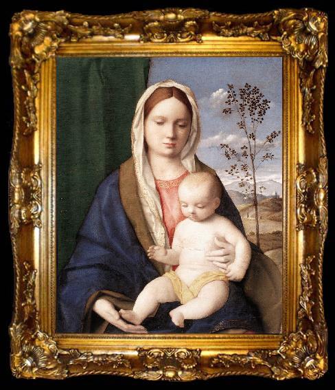 framed  BELLINI, Giovanni Madonna and Child mmmnh, ta009-2